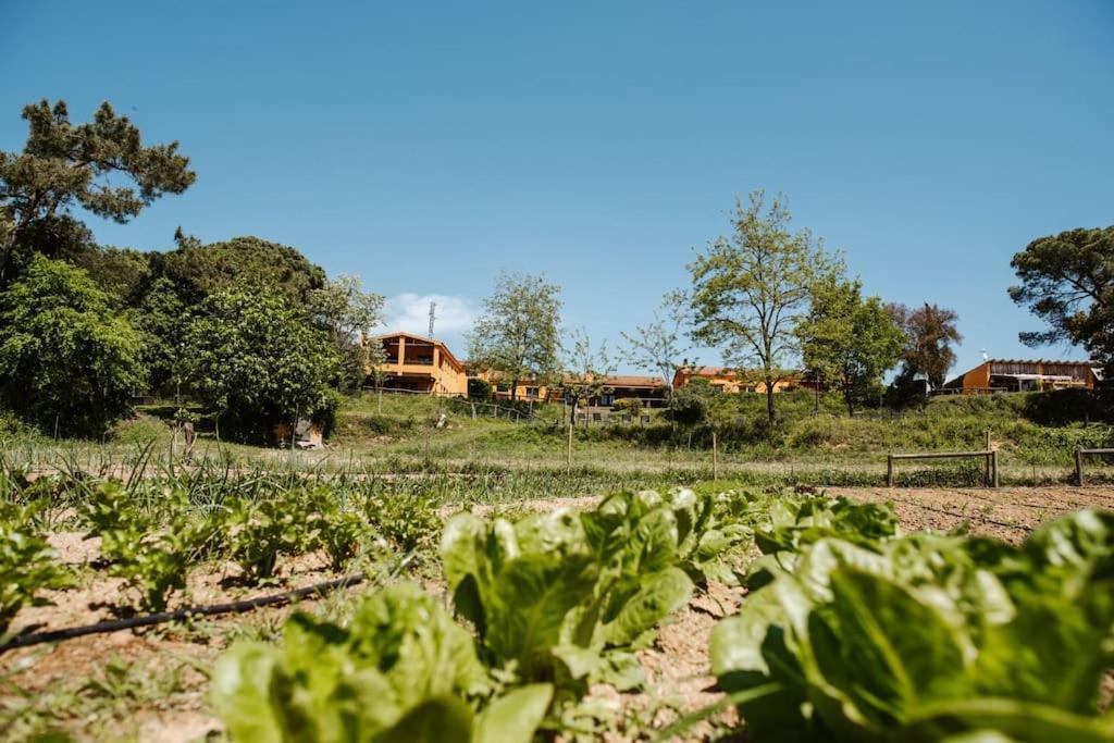Casa Rural En El Campo Las Dalias Tordera Exterior photo